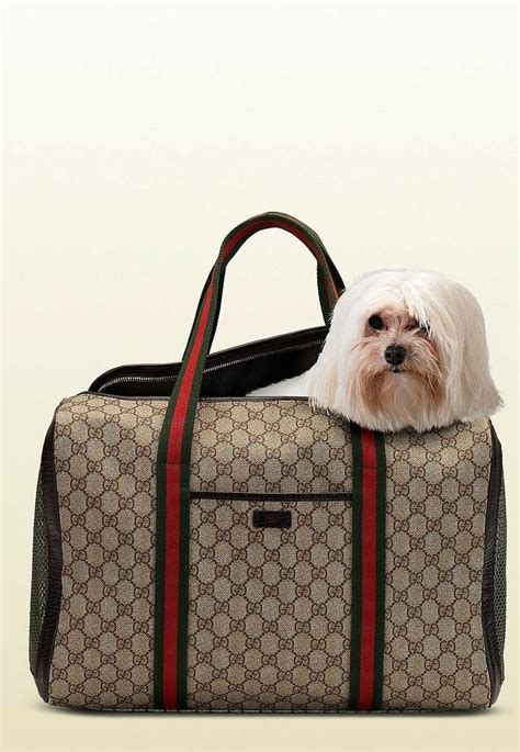 bolso perro gucci|Gucci, la última en vender lujo para mascotas .